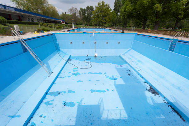 Best Professional water damage repair  in Saint Johns University, MN
