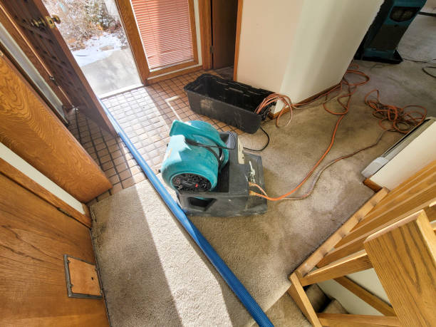 Water damage restoration insurance claims in MN