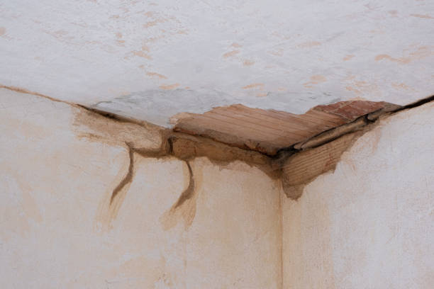 Best Ceiling water damage repair  in Saint Johns University, MN