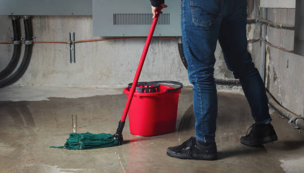 Best Carpet water damage restoration  in Saint Johns University, MN