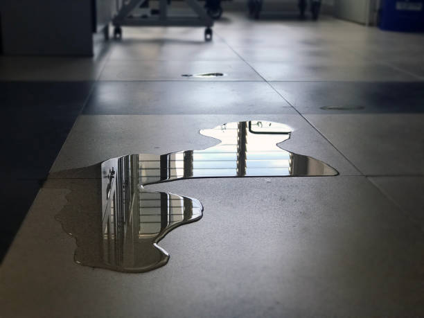 Best Sewage cleanup and water damage restoration  in Saint Johns University, MN