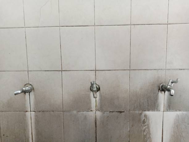 Professional Water damage restoration in MN