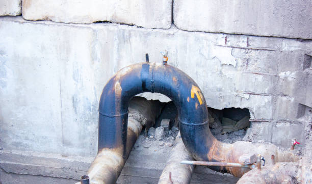 Best Commercial water damage restoration  in Saint Johns University, MN
