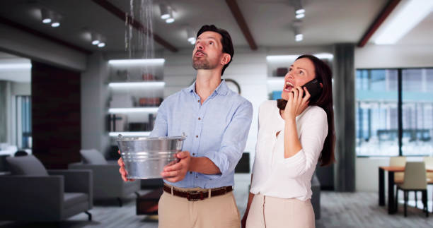 Best Water damage restoration company  in Saint Johns University, MN